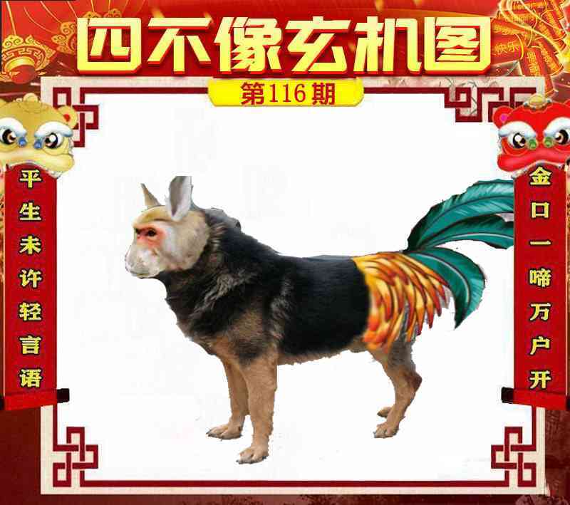 管家婆论坛