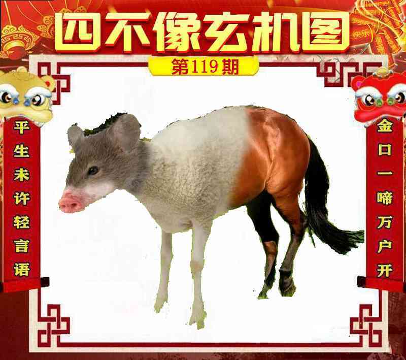 图片如未更新，可能正在上传中，或者开奖日再来看看，不便之处请谅解！