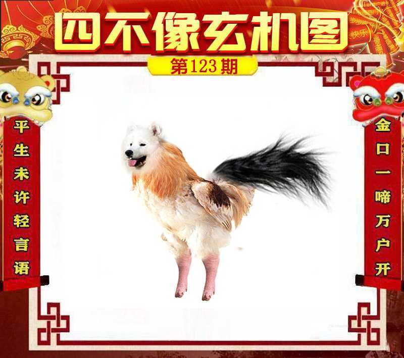 图片如未更新，可能正在上传中，或者开奖日再来看看，不便之处请谅解！