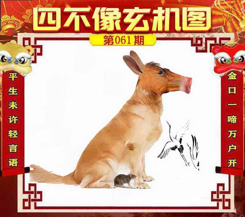 图片如未更新，可能正在上传中，或者开奖日再来看看，不便之处请谅解！