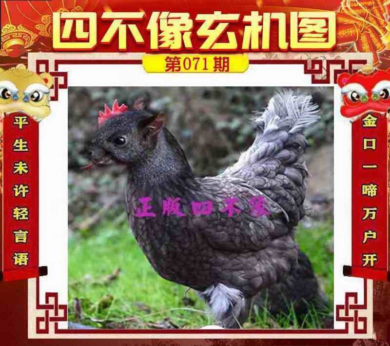 管家婆论坛