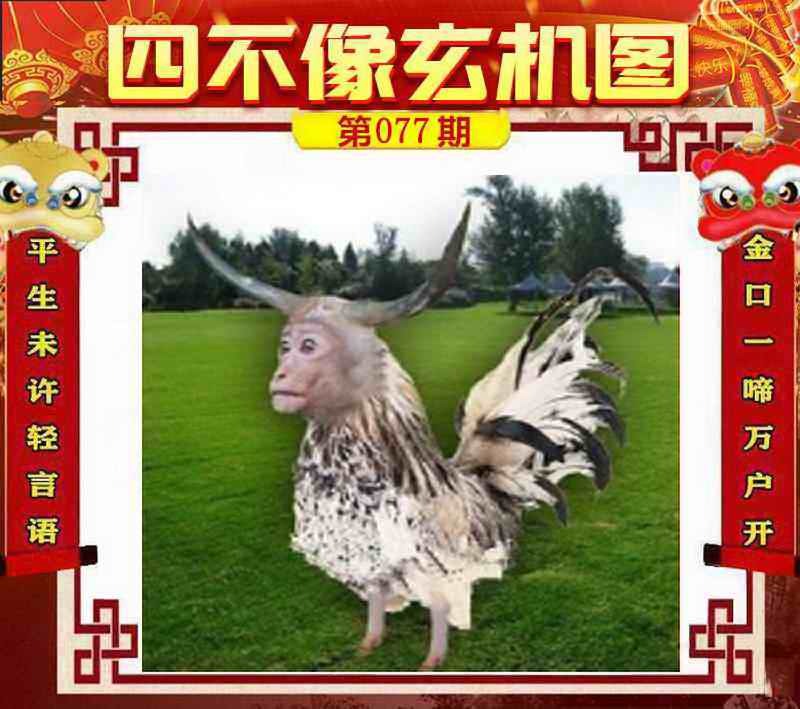 管家婆论坛