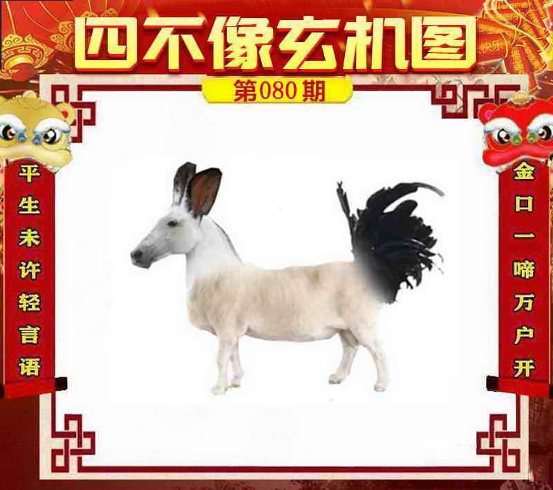 图片如未更新，可能正在上传中，或者开奖日再来看看，不便之处请谅解！