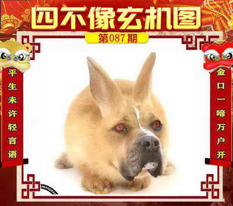 管家婆论坛