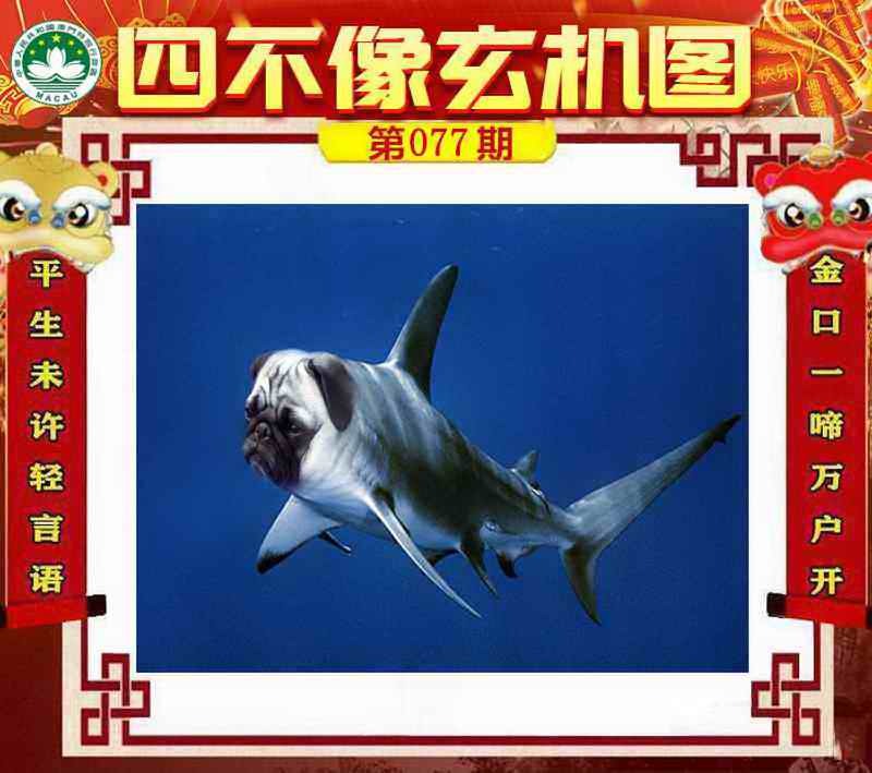 管家婆论坛