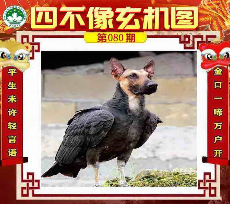 管家婆论坛