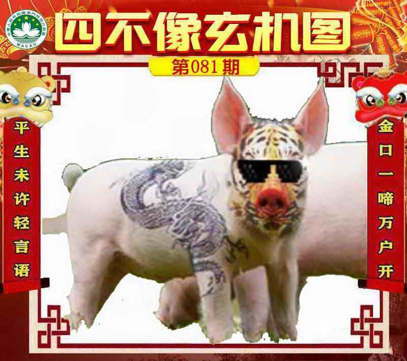 管家婆论坛